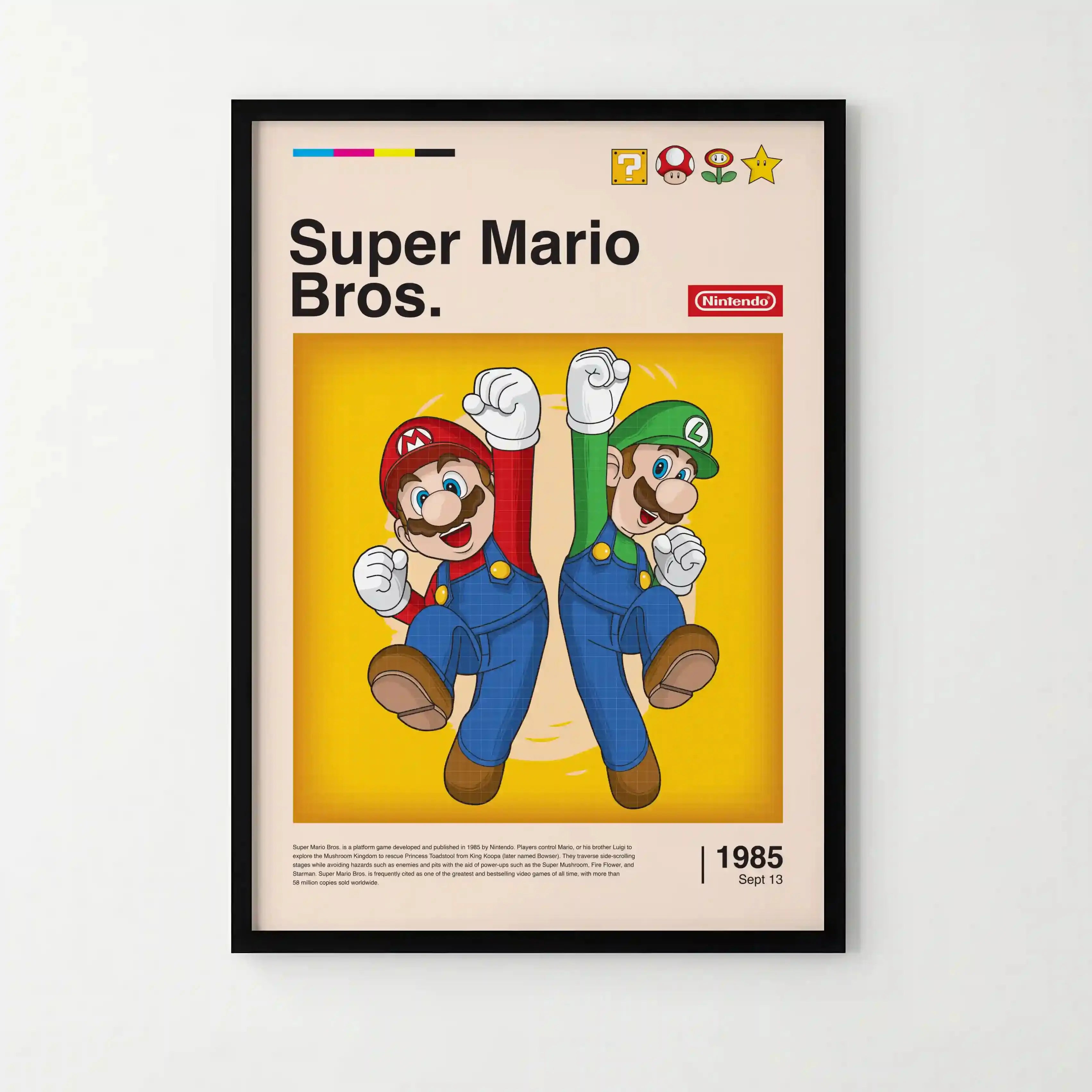Tableau Decoration - Mario & Luigi - Frères de l’Aventure