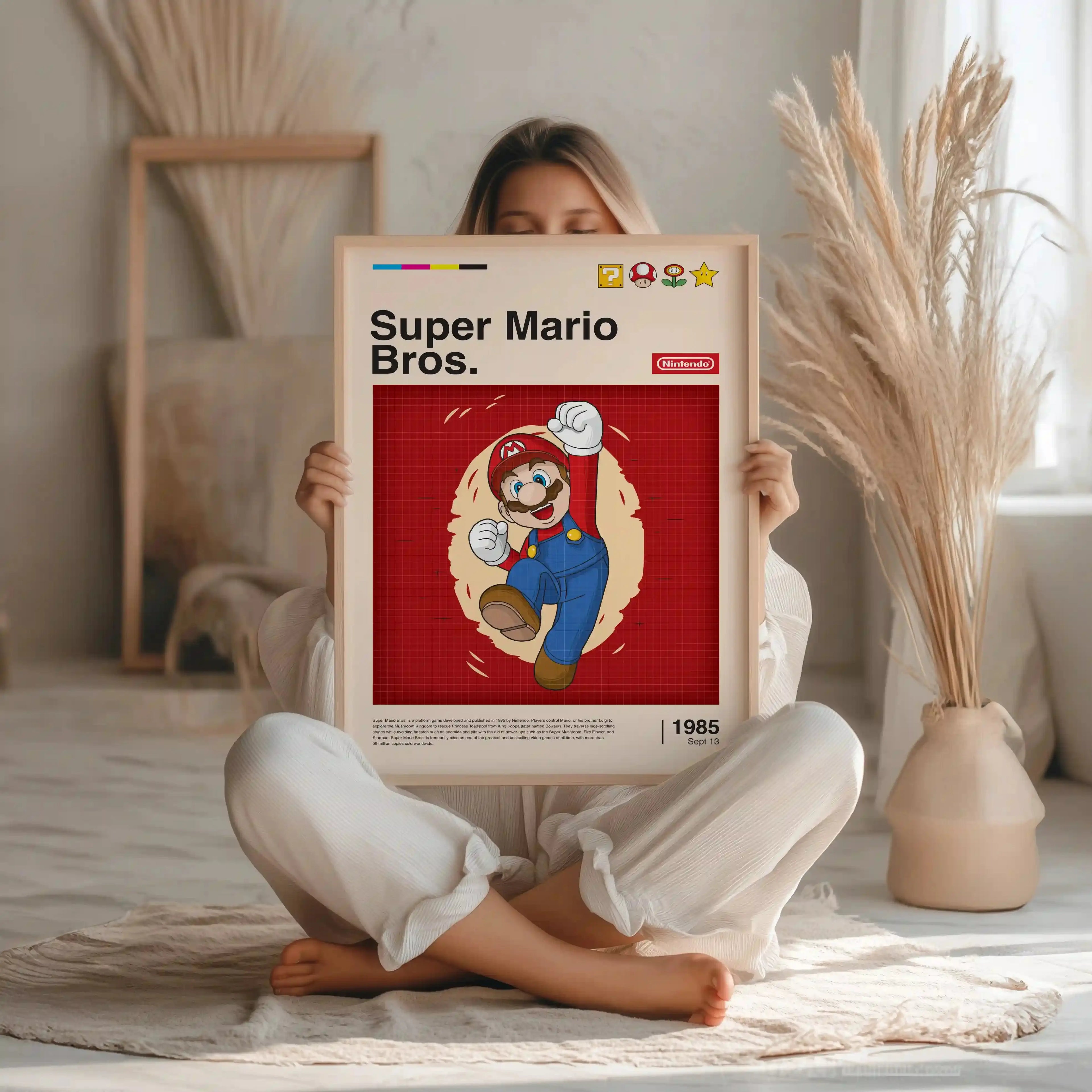 Tableau Decoration - Super Mario Kivura Shop