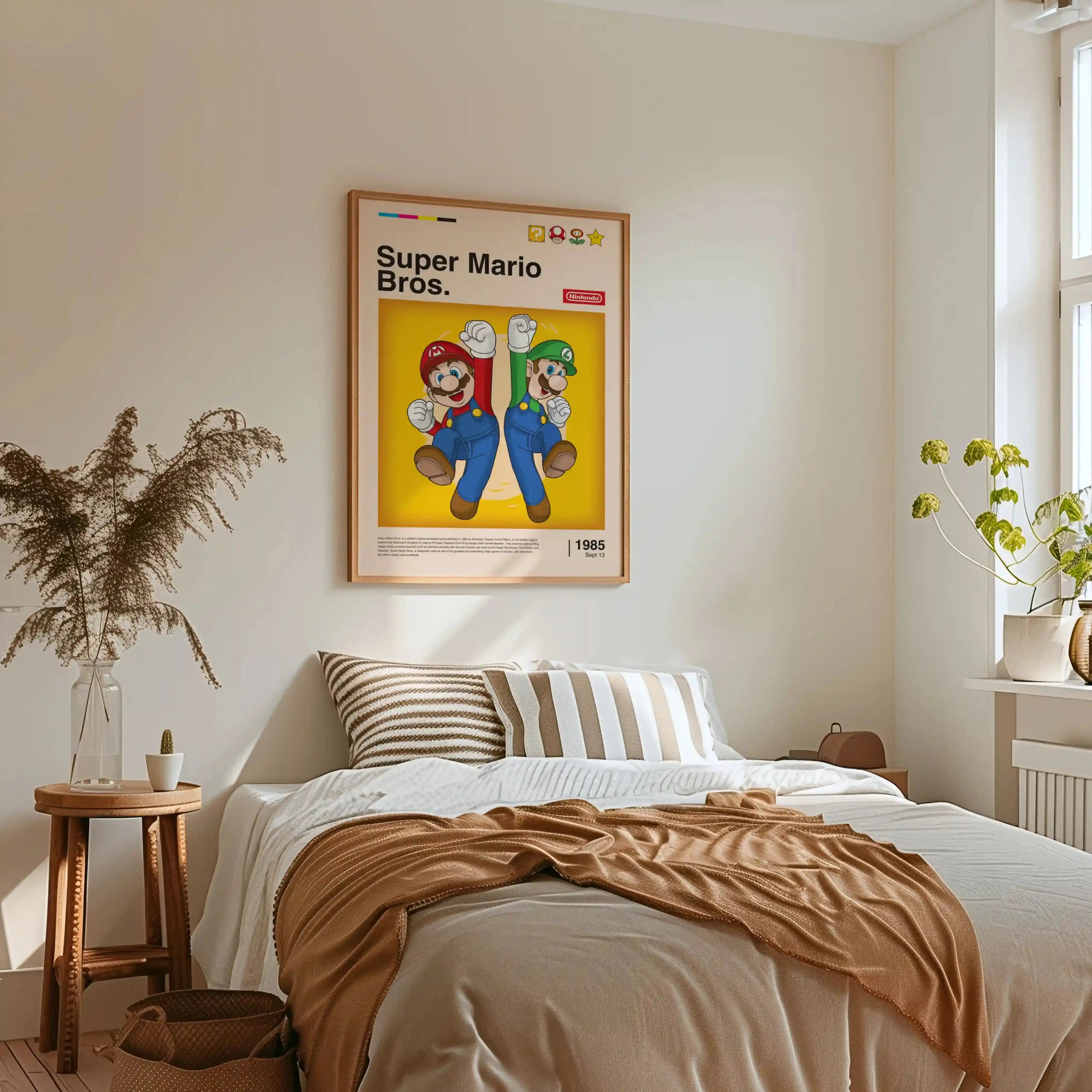 Tableau Decoration - Mario & Luigi - Frères de l’Aventure Kivura Shop