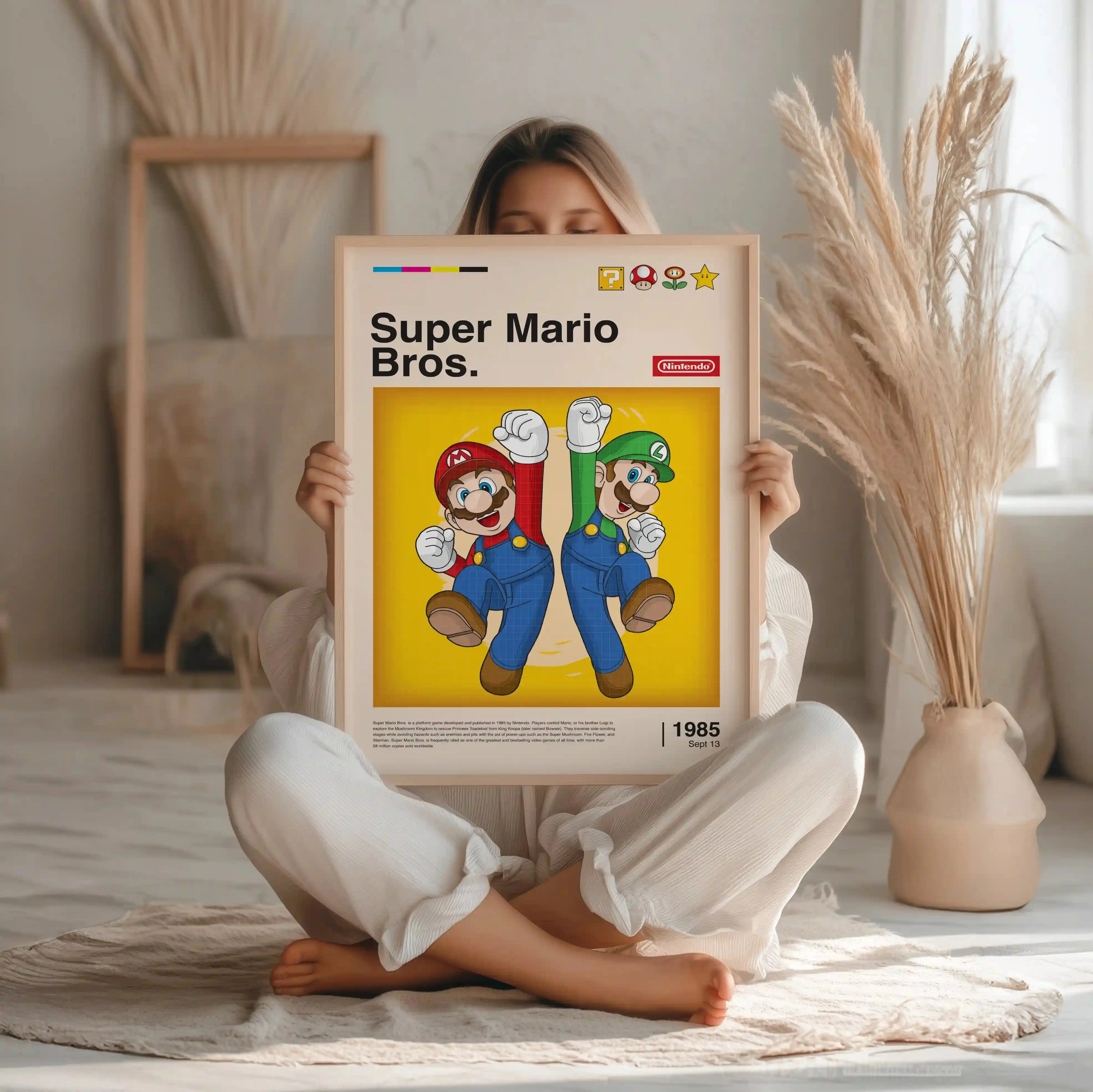 Tableau Decoration - Mario & Luigi - Frères de l’Aventure Kivura Shop