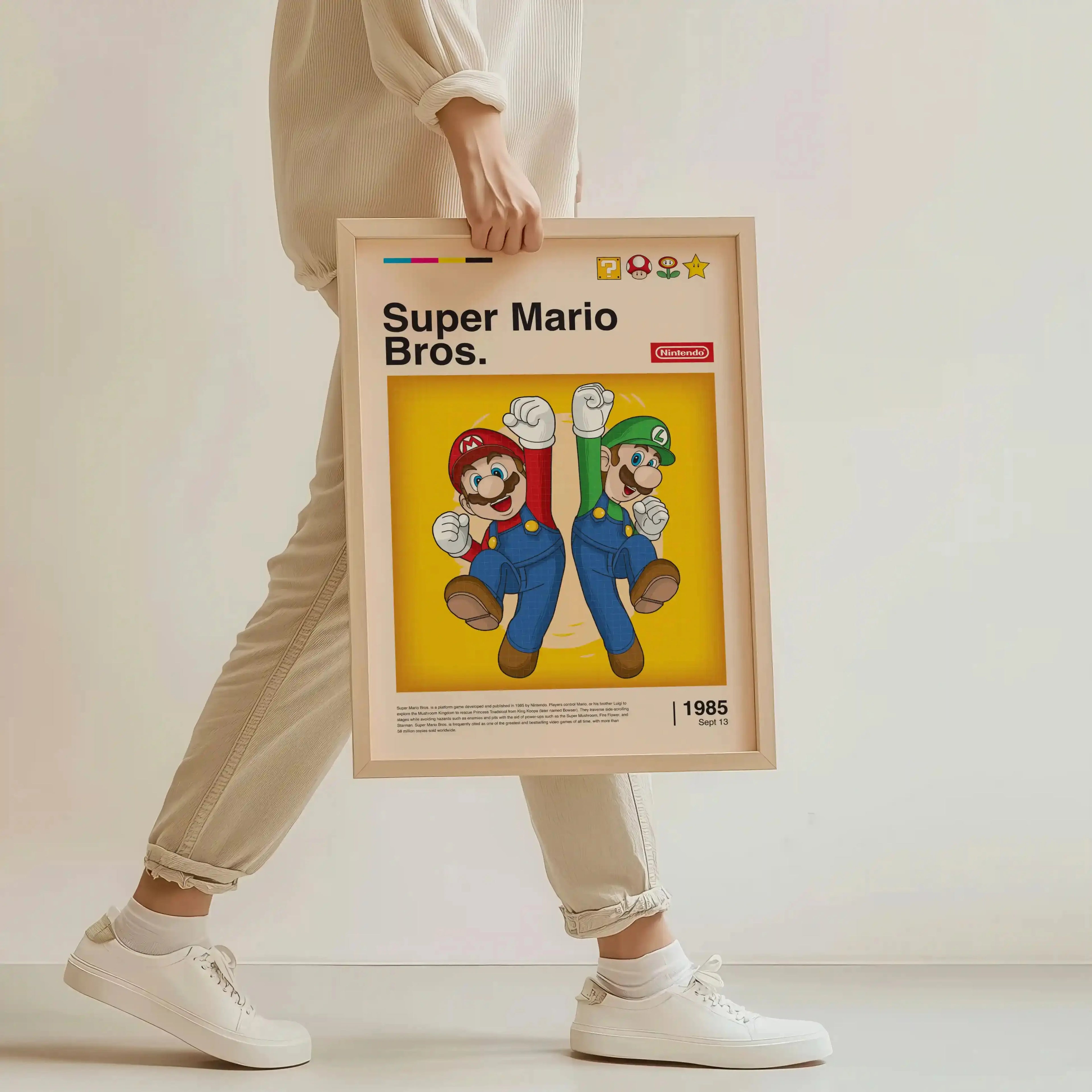 Tableau Decoration - Mario & Luigi - Frères de l’Aventure Kivura Shop